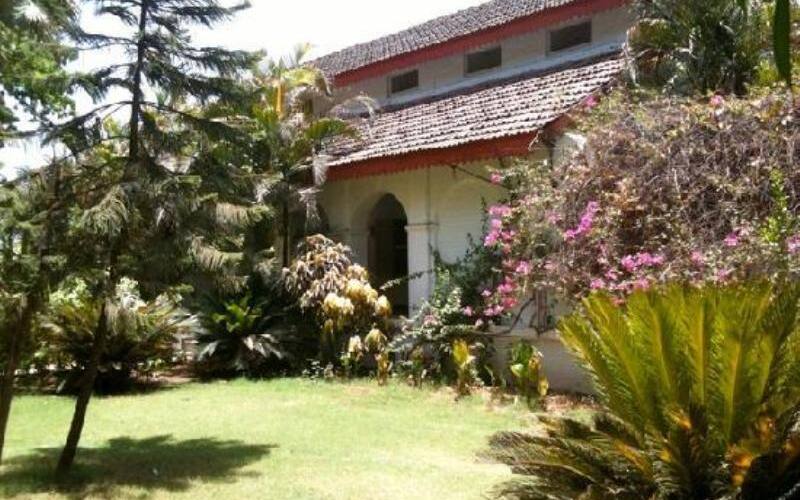 A HOME FOR NATURE LOVERS, Jambughoda 2